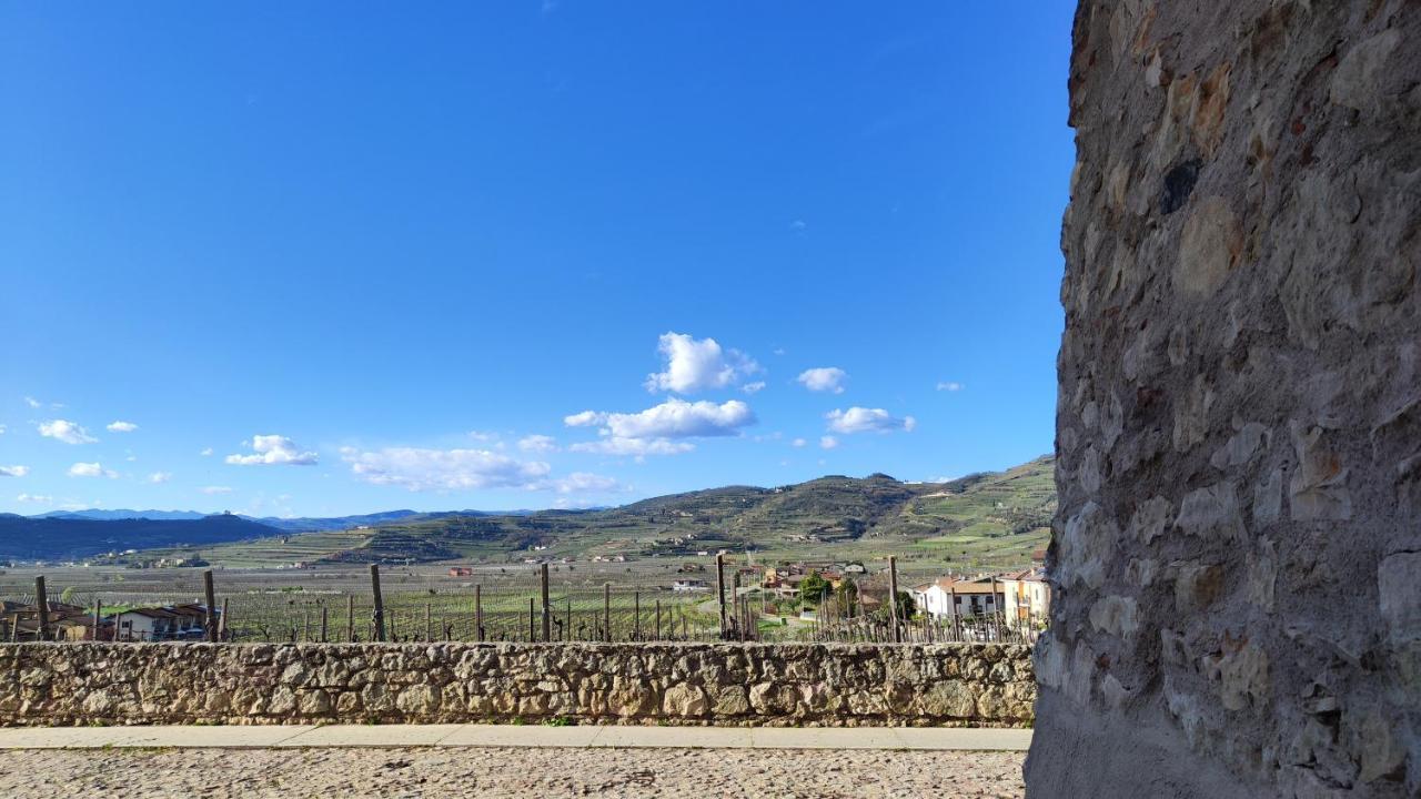 Stanza Allegra Soave Exteriör bild